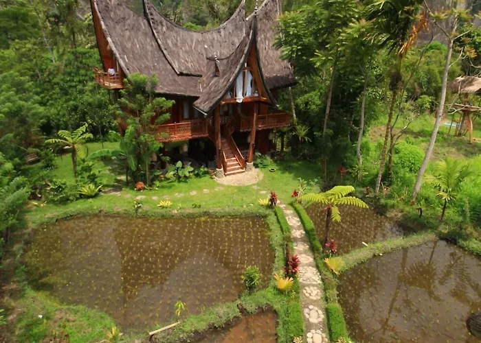 Padi Ecolodge