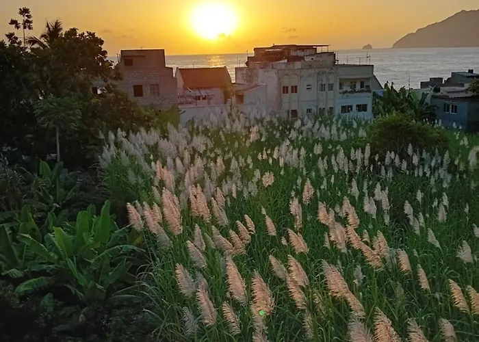Oasis Paul Residencial
