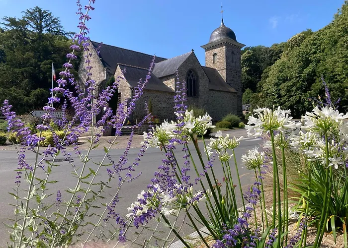 Fleurs de lin