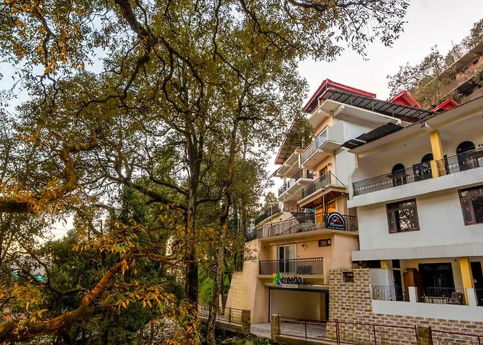 Treebo Hilldaar Dalhousie