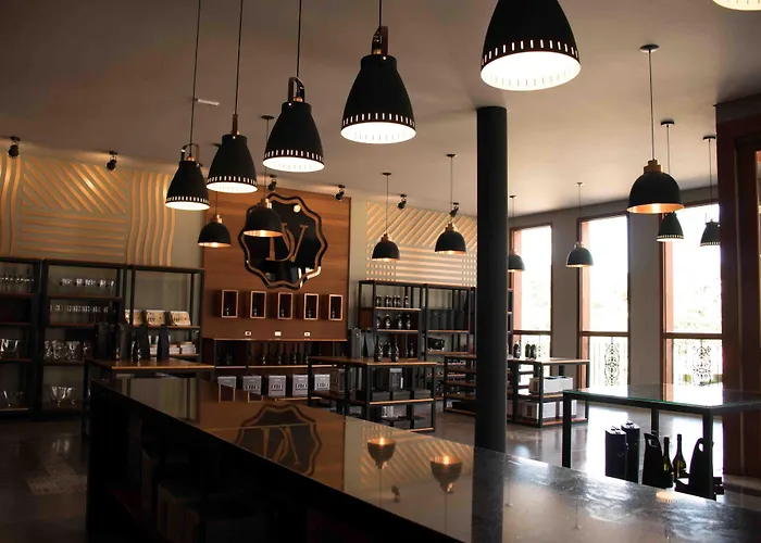 Hotel Vinícola Davo