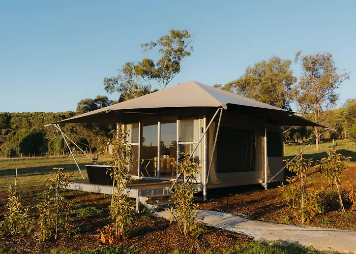 Canvs By Cabn Seppeltsfield Barossa