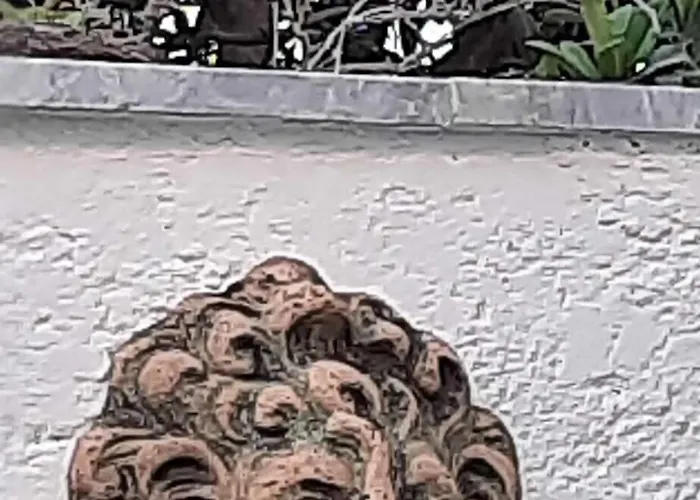 Arden'S House