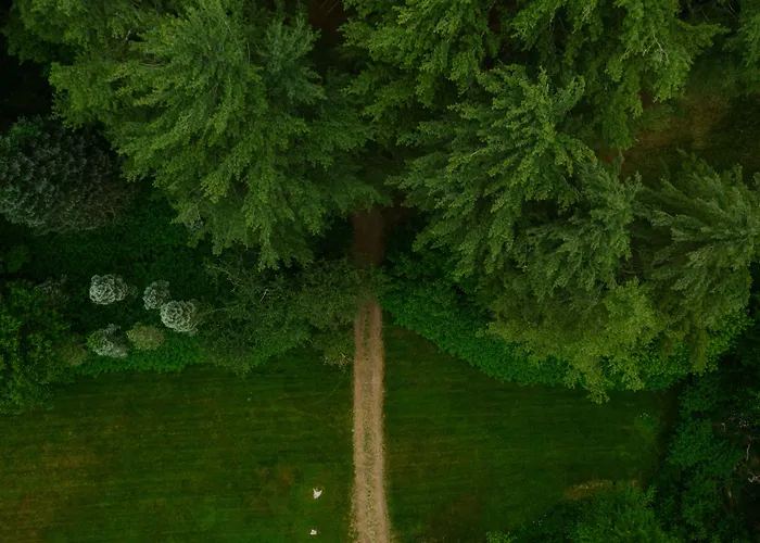 The Leeway