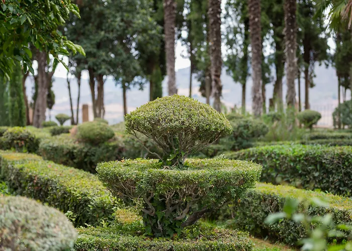 Castilla Termal Brihuega