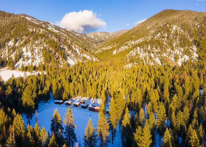 Bear Creek Resort