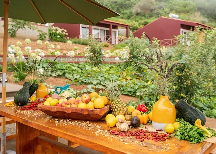 Yeotown Madeira Wellness Hotel And Nature Stay