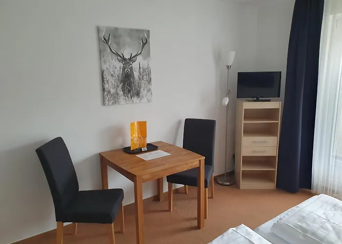 Brauner Hirsch Hannoversch Münden