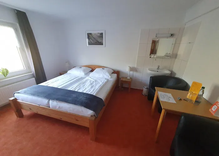 Brauner Hirsch Hannoversch Münden