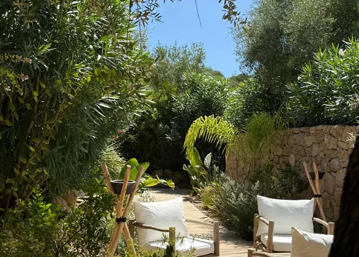 Les Suites Du Maquis