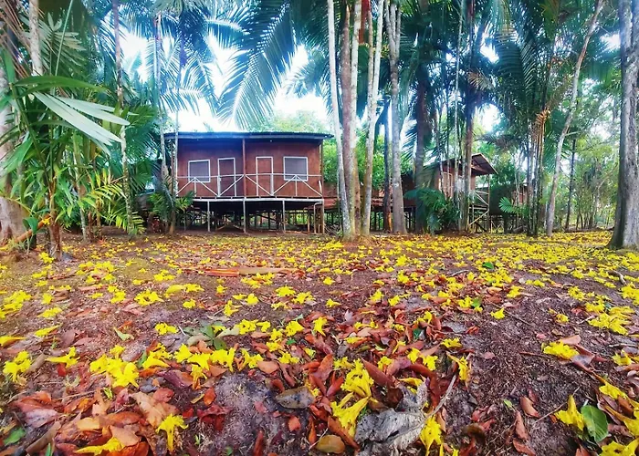 Seringueira jungle Lodge