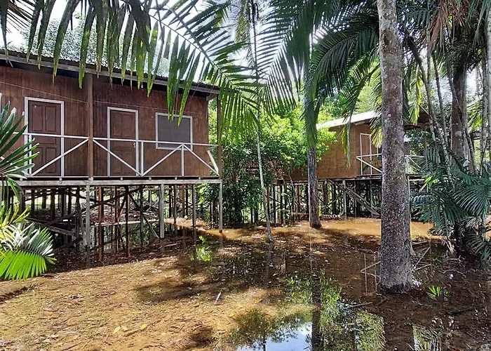Seringueira jungle Lodge