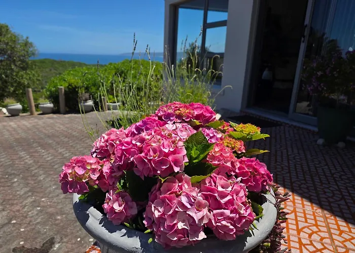 Villa Cape Garden Route