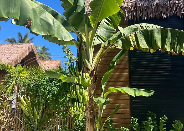 Ambra Maldives