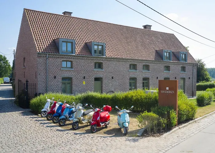 B&B Vossebergen Hombeek