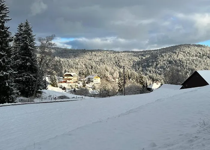 Boutique Hotel&Apartments Pension Sternen