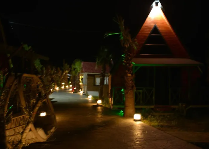 Palm Garden