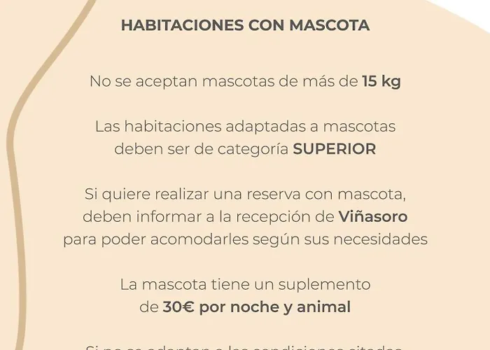 Hotel Château Viñasoro