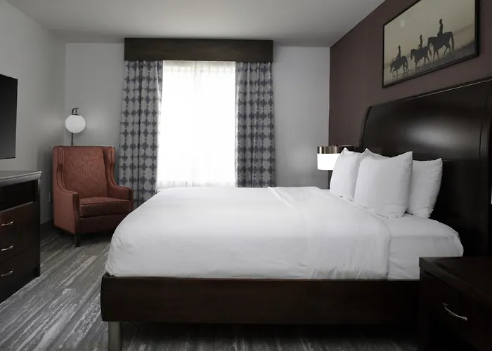 Hilton Garden Inn Denison/Sherman/At Texoma Event Center