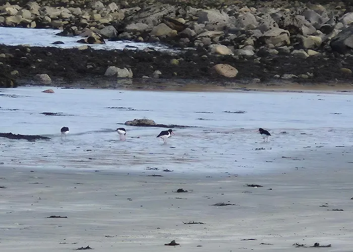 Balmoral Skye