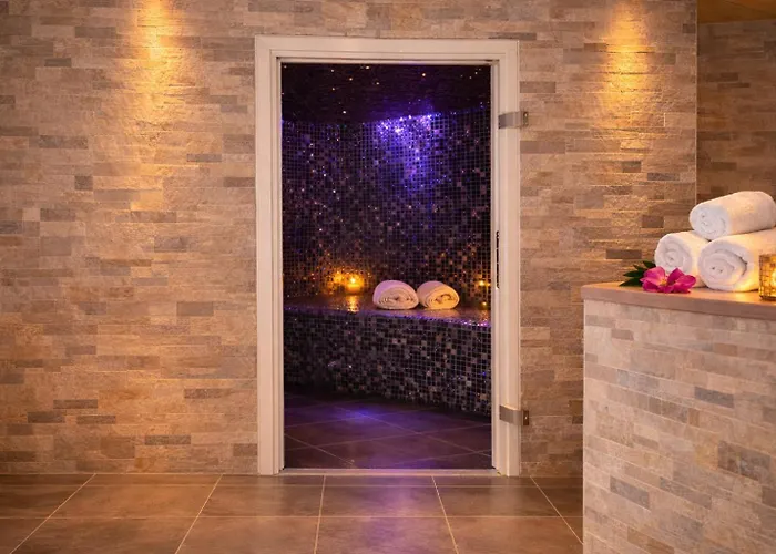 Logis Hotel-Restaurant Spa Le Lac