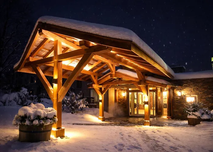 Logis Hotel-Restaurant Spa Le Lac