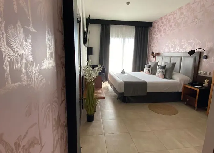 On Aleta Room Designed For Adults