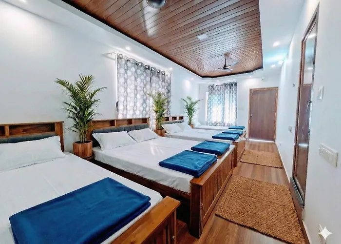 Gavi Homestay