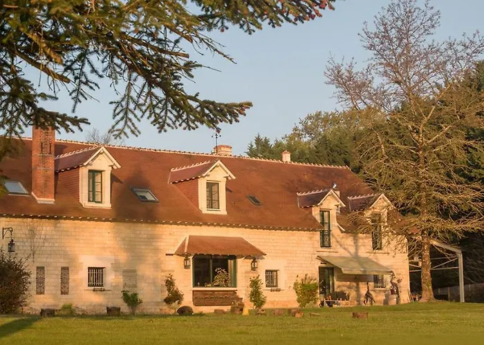 Les Aulnaies - B&B Mareuil-sur-Cher