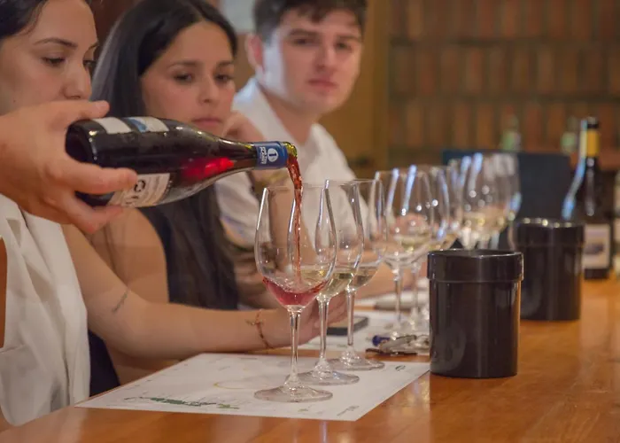 Vina La Playa Hotel & Winery By Sutil Wines