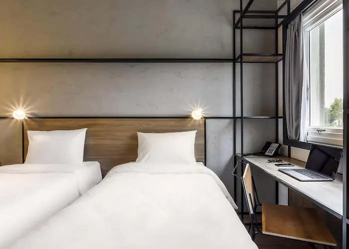 Ibis Aruja
