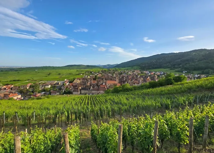Best Western Hotel&SPA Le Schoenenbourg