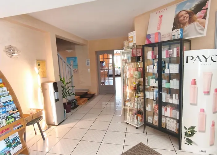 Hôtel Le Baudiere&Spa
