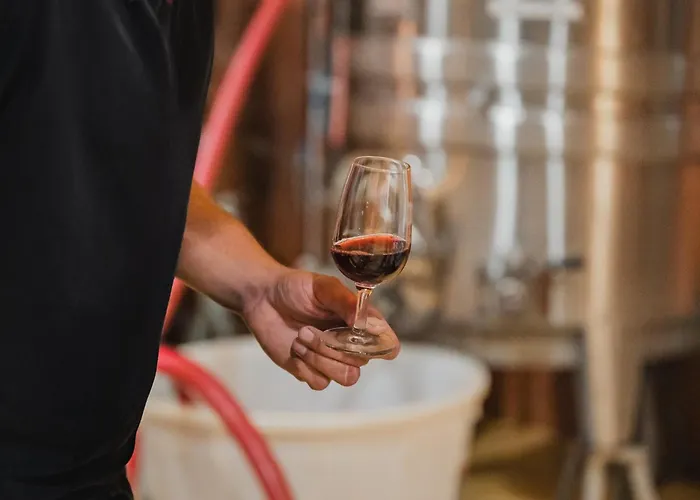 Domaine Rabiega - Vineyard&Boutique hotel