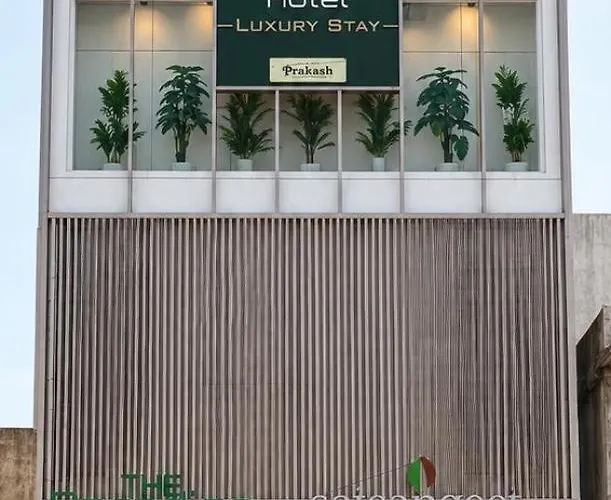 The Paradise Hotel - Luxury Stay