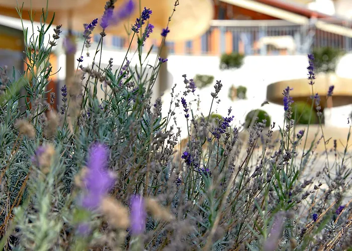 Ayurveda Resort Mandira