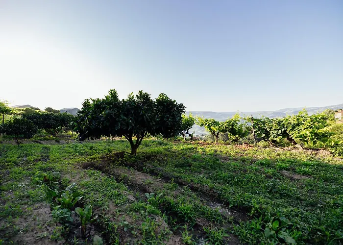Casas Da Quinta De Santa Cruz - Douro Land