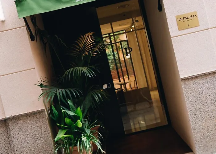 H La Paloma Boutique