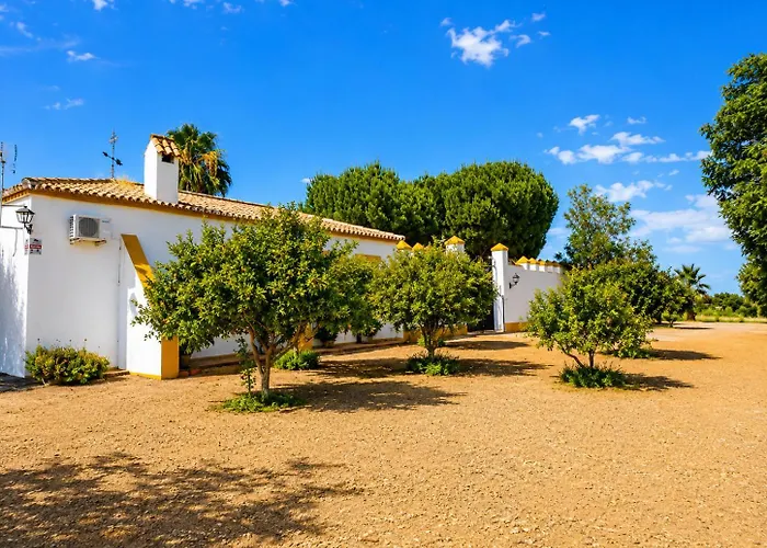 Cortijo Las Cruces Guillena - Sevilla
