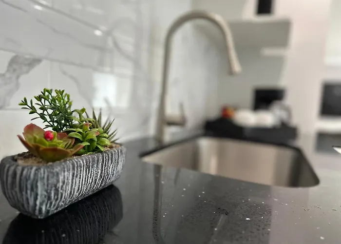 Amazing Garden View Unit
