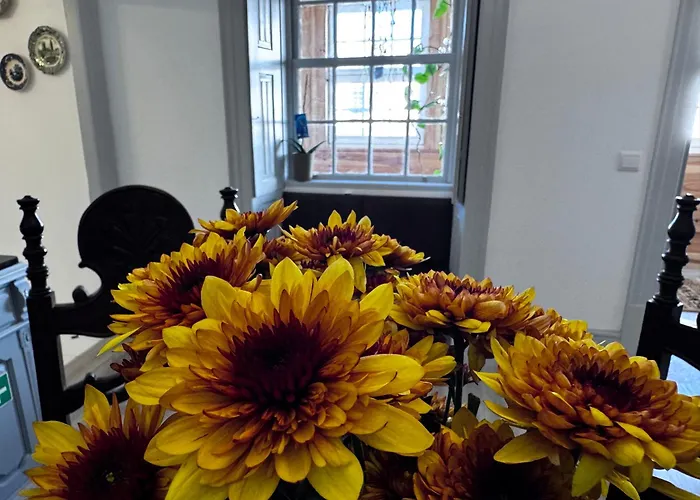 Santiago De Caminha Boutique Hostel & Suites