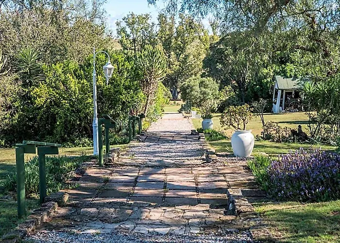Leeuwenbosch Shearers Lodge - Amakhala Game Reserve