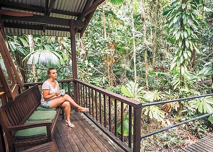Daintree Wilderness Lodge