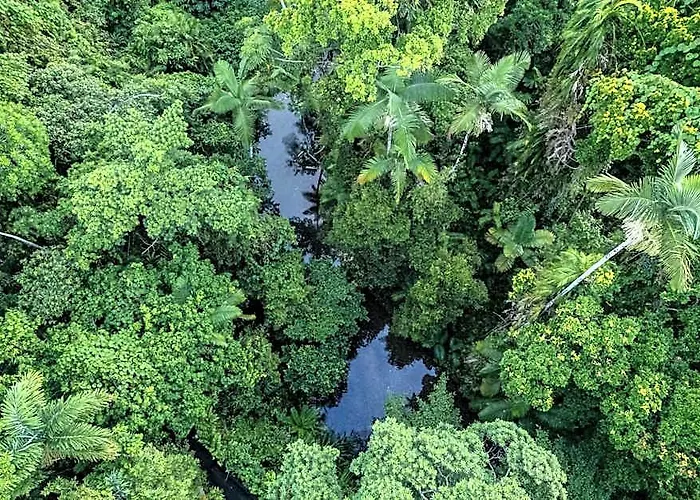 Heritage Lodge - In The Daintree
