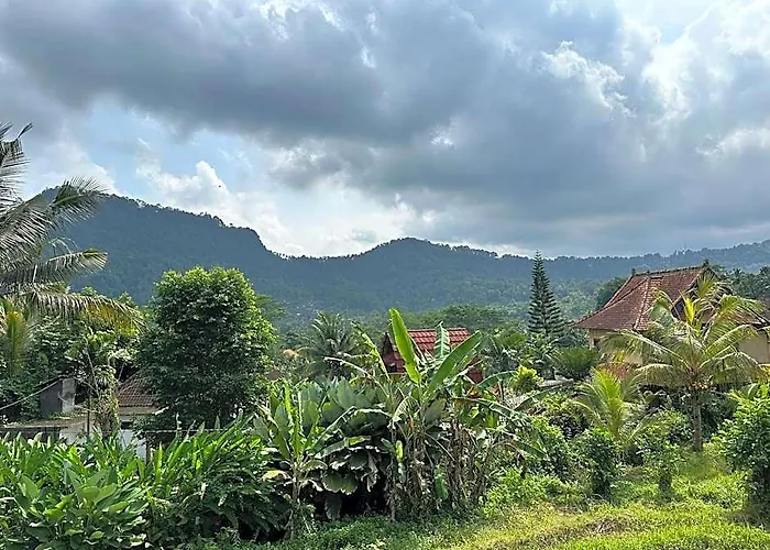 D'Janu Homestay