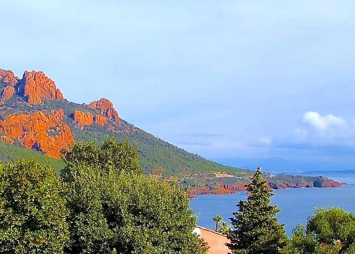 Cigales - Roquebrune-Sur-Argens