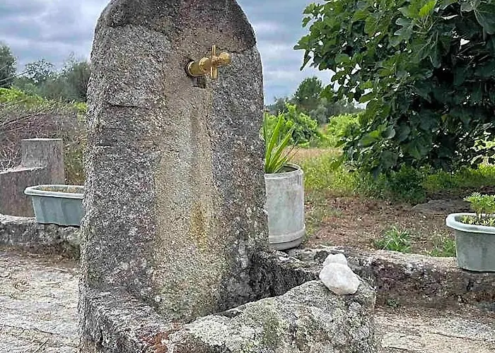 Quinta Vale De Lavao