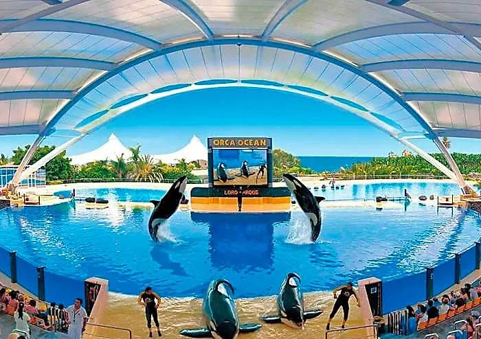 Golden Paradise Heated Pool At Albatros Park