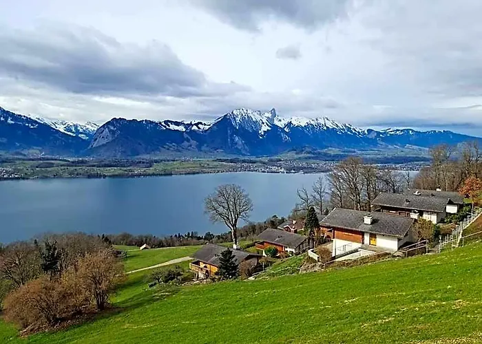 Chalet With View Of The Mountains And The Thun Lake
