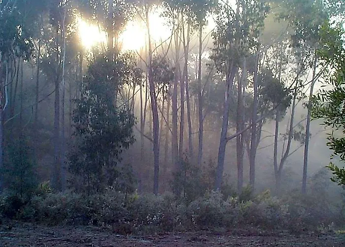 Carinya Park